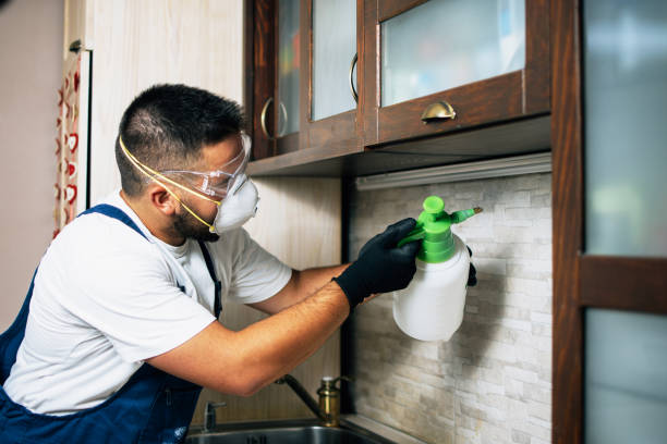 Best Pest Removal Services  in East Alton, IL