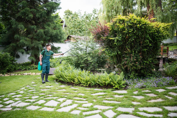Best Commercial Pest Control Services  in East Alton, IL