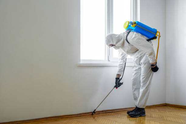 Best Wildlife Control Services  in East Alton, IL