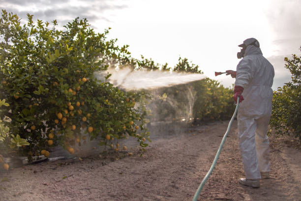 Best Pest Prevention Services  in East Alton, IL