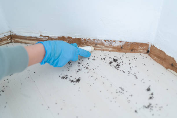 Best Best Pest Control Companies  in East Alton, IL