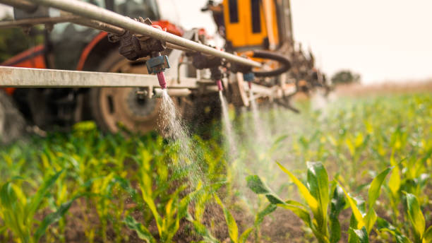 Best Commercial Pest Control Services  in East Alton, IL